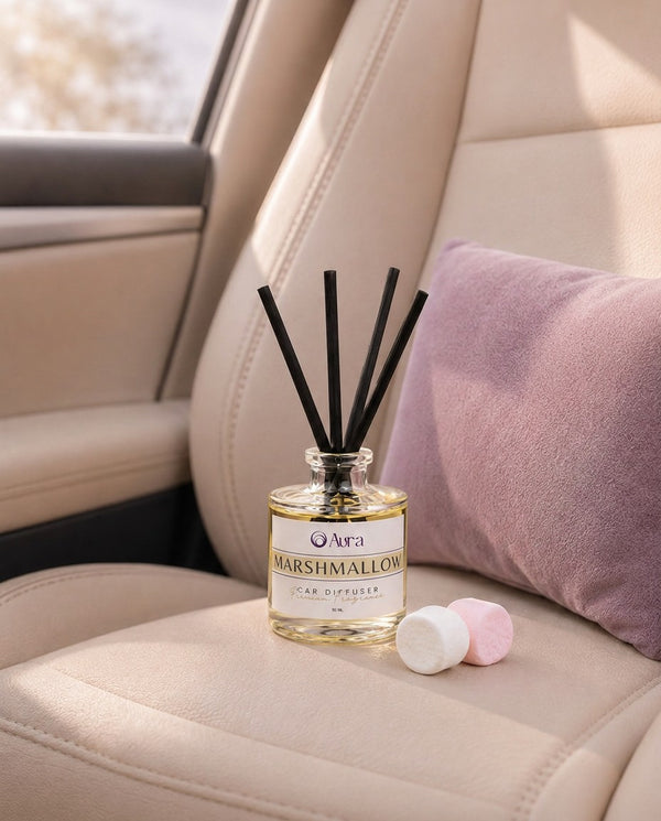 Car Diffuser